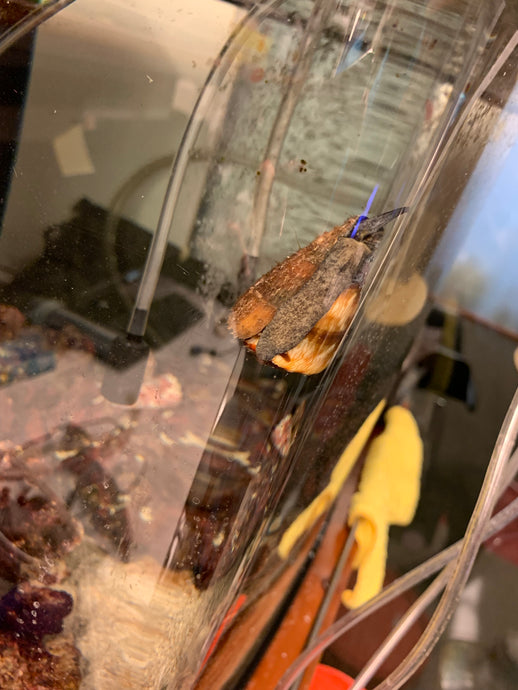 Killer Snails Social Media Interns Visit Holford Lab!