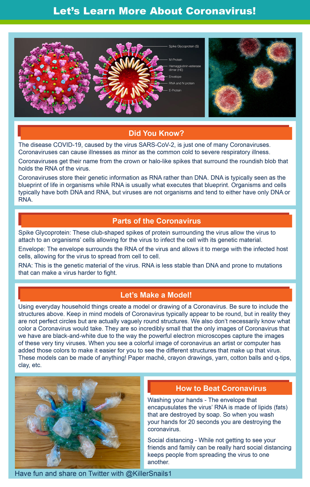 Coronavirus Science Activity at Home