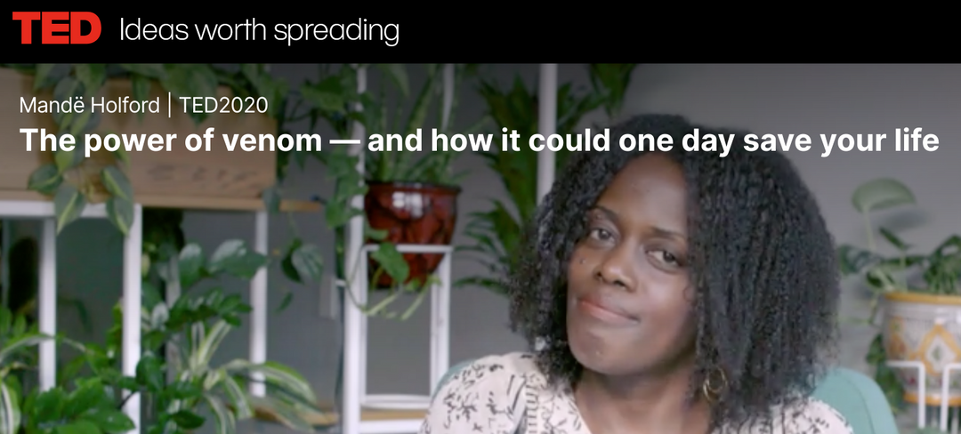 Chief Scientist Mandë Holford’s TED Talk!