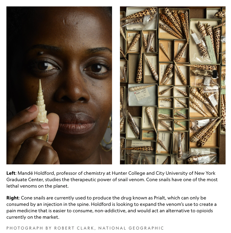 Killer Snails in National Geographic!