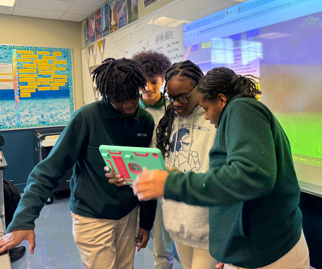 Playtesting VenomCoLab!