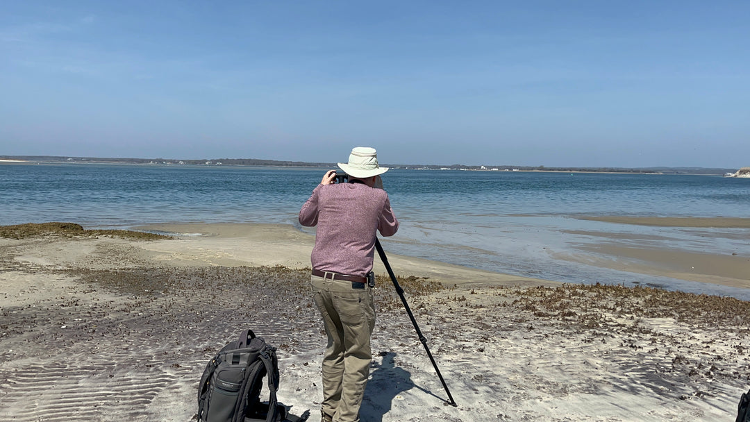 Field trip to seals!